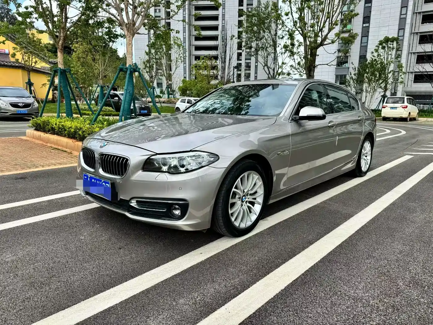 BMW 5 Series 2014 525Li Luxury Design Package
