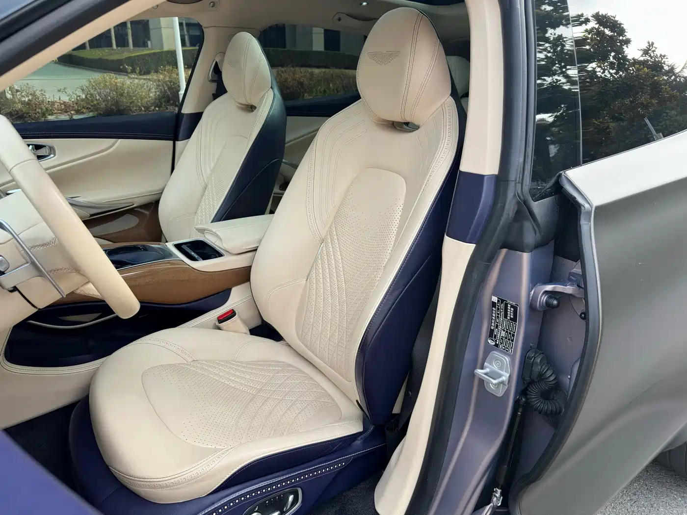 Aston Martin DBX 2021 2021 4.0T V8 Enigma of Elegance