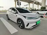 Фото 4 - BYD Dolphin