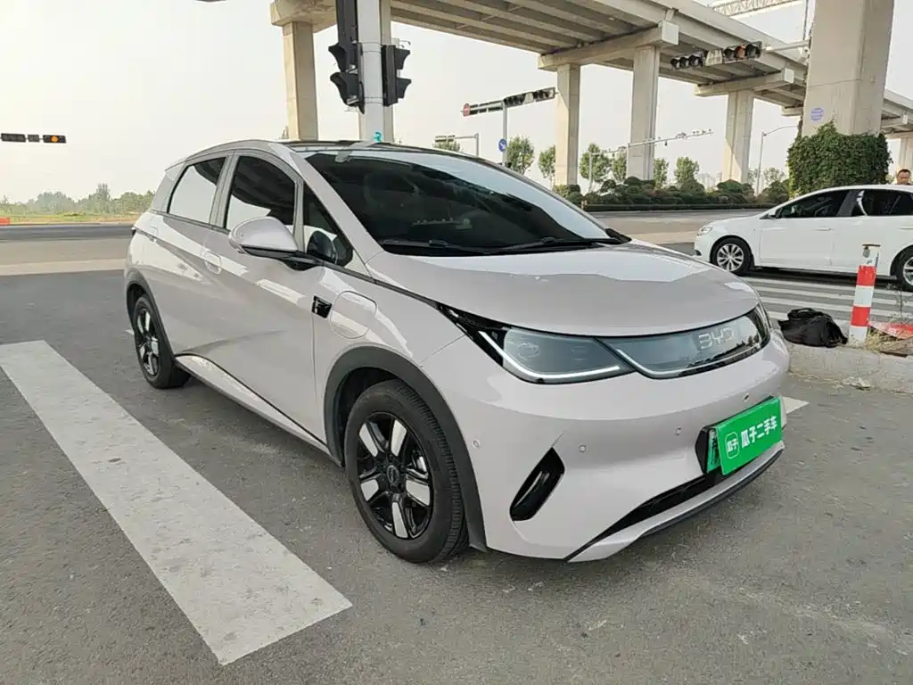 Фото 4 - BYD Dolphin