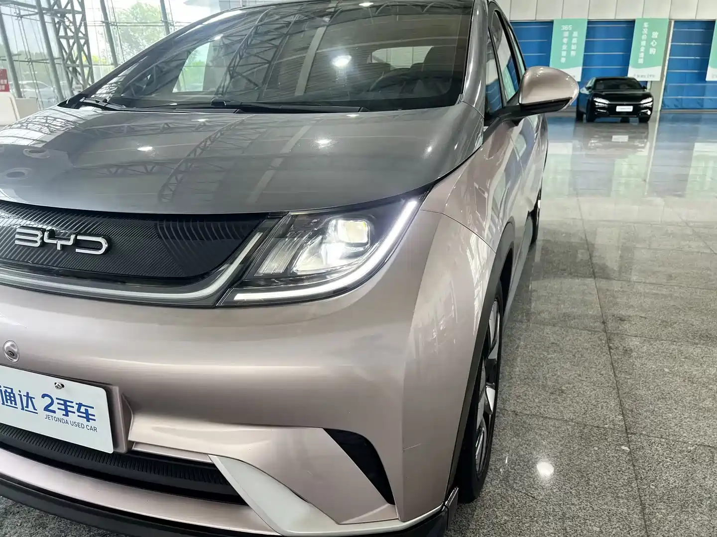 Фото 4 - BYD Dolphin
