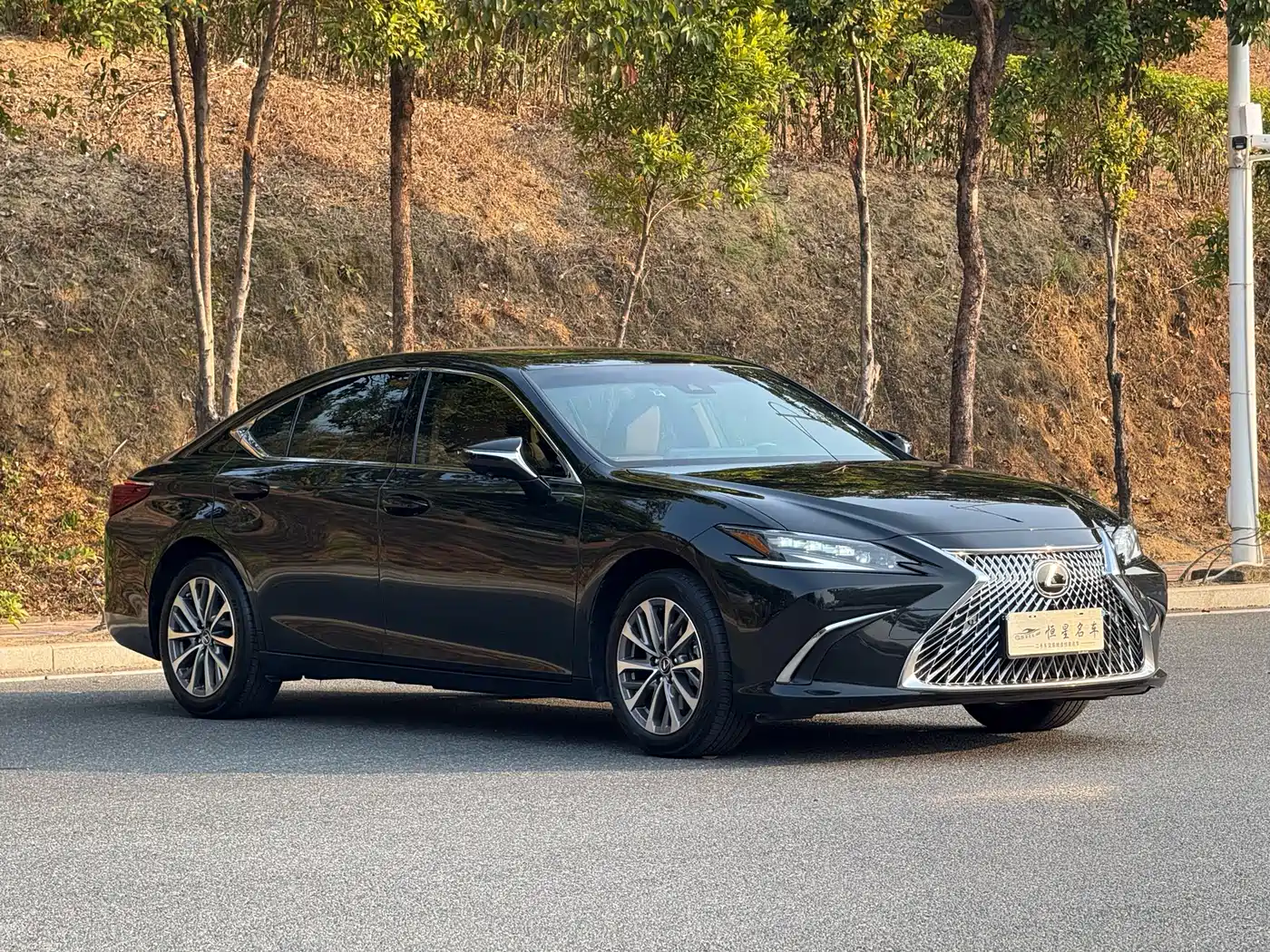 Lexus ES 2023 200 Excellence Edition фото 3