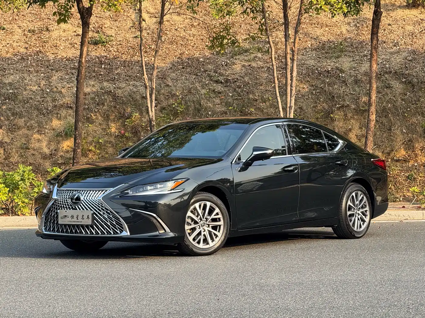 Lexus ES 2023 200 Excellence Edition