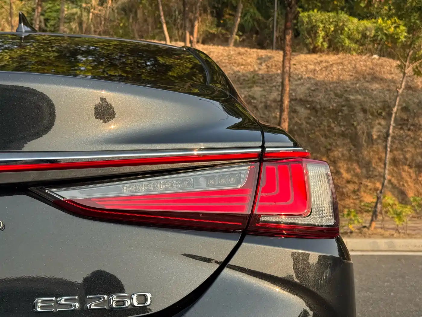 Lexus ES 2023 200 Excellence Edition фото 10