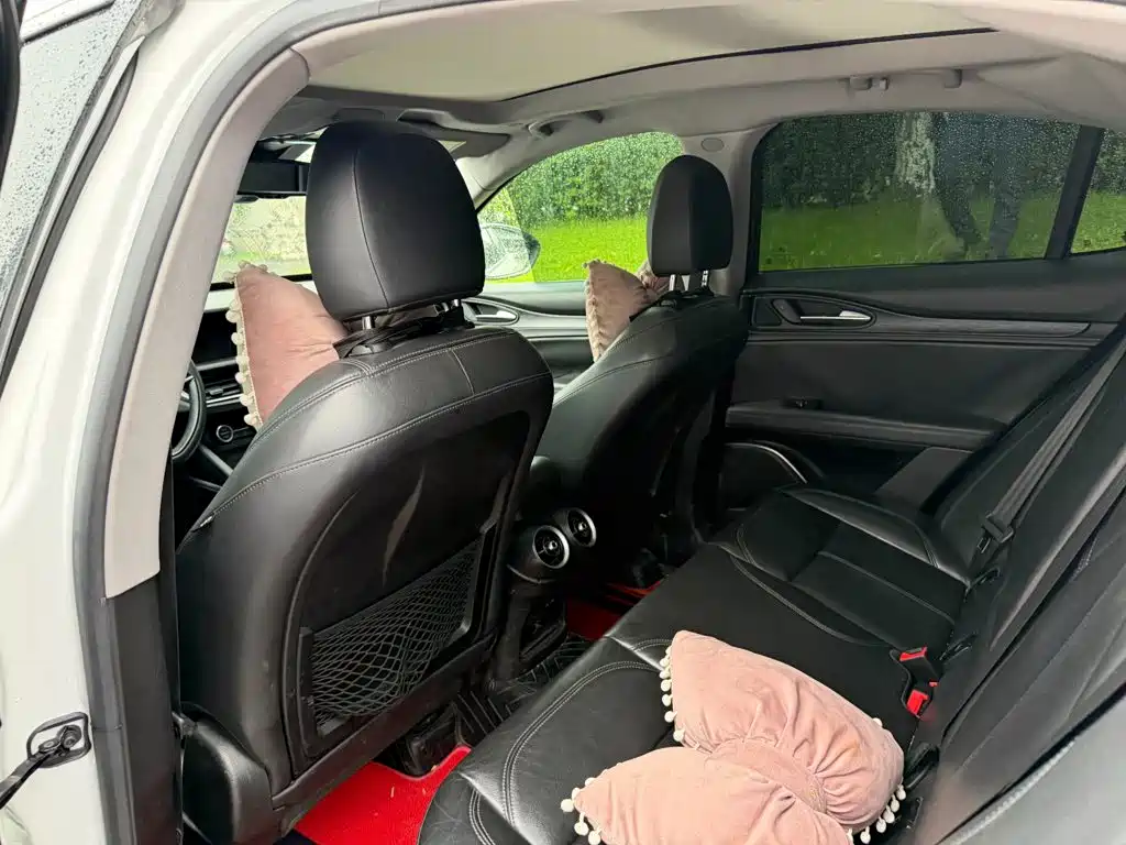 Alfa Romeo Stelvio 2019 2017 2.0T 200HP Luxury Edition