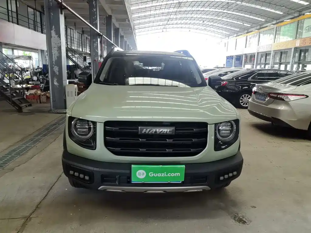 Photo 3 - Haval Big Dog