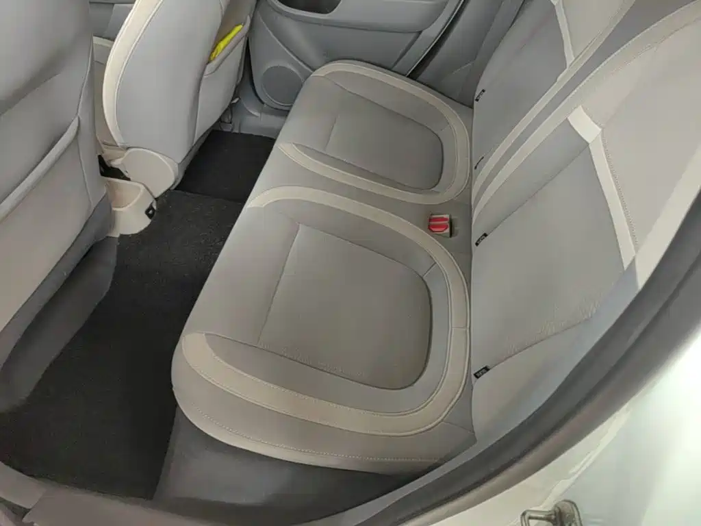 Ora White Cat 2021 2020 305km Luxury
