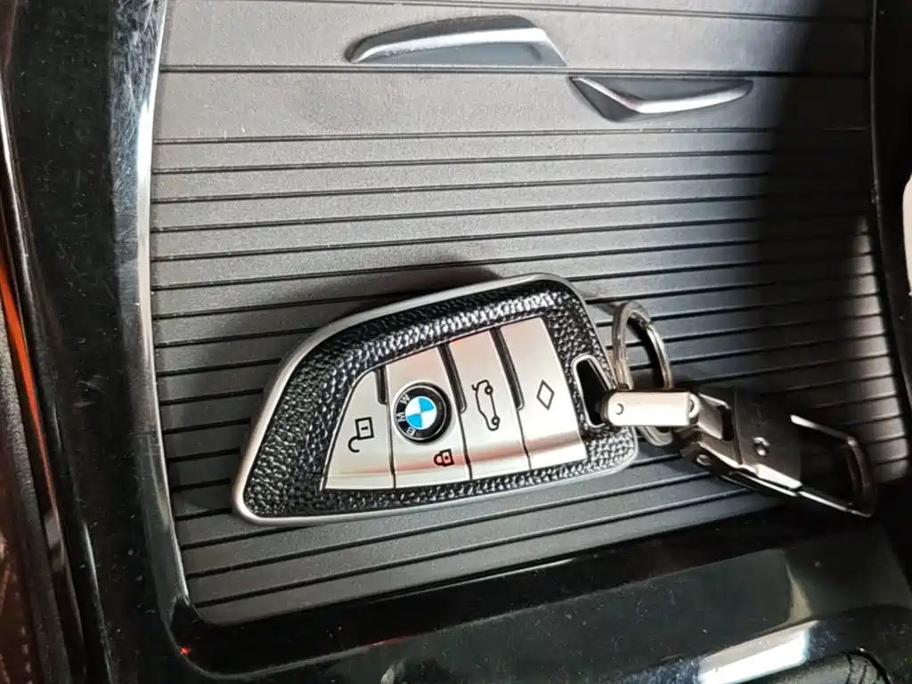 BMW X1 New Energy 2020 2019 xDrive25Le Range Upgrade Edition