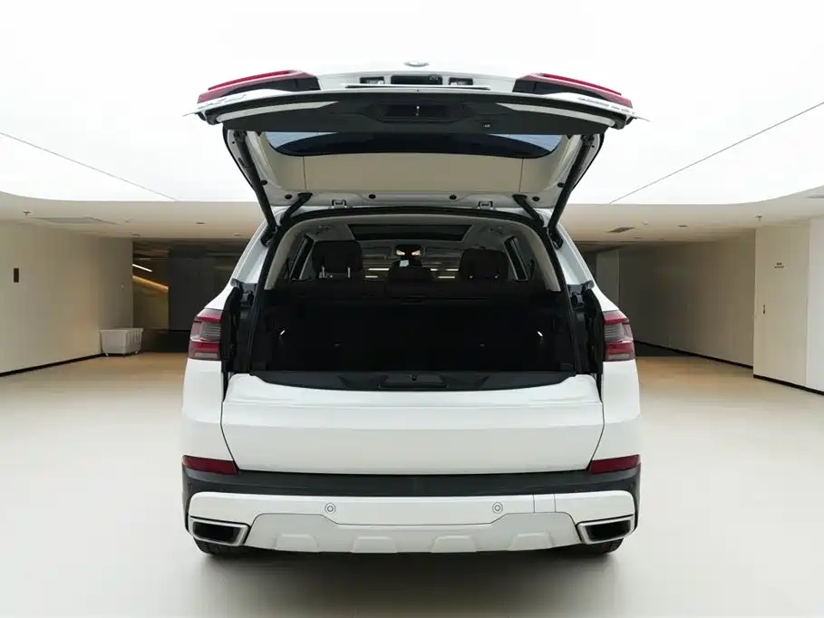 BMW X5 (Import) 2020 xDrive30i X Design Package фото 8