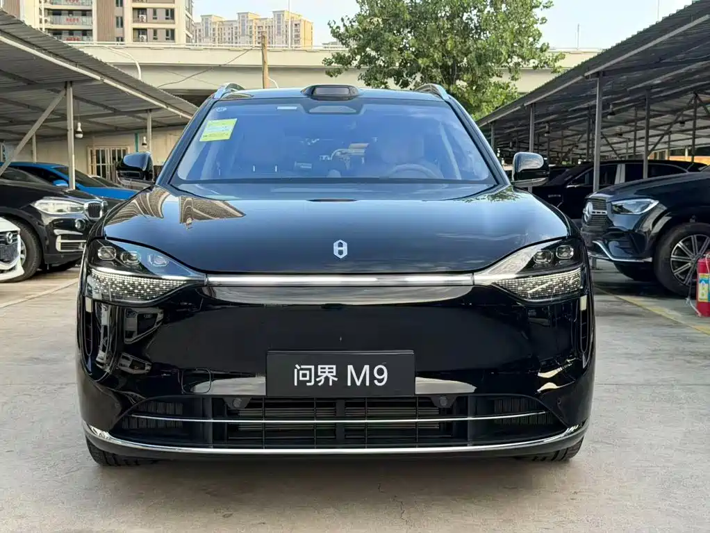 Фото 2 - AITO Wenjie AITO M9