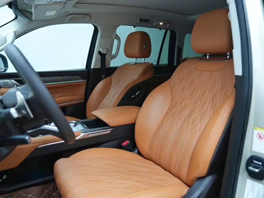 Tank 500 2022 2022 3.0T Business Edition Zaojing 5-Seater