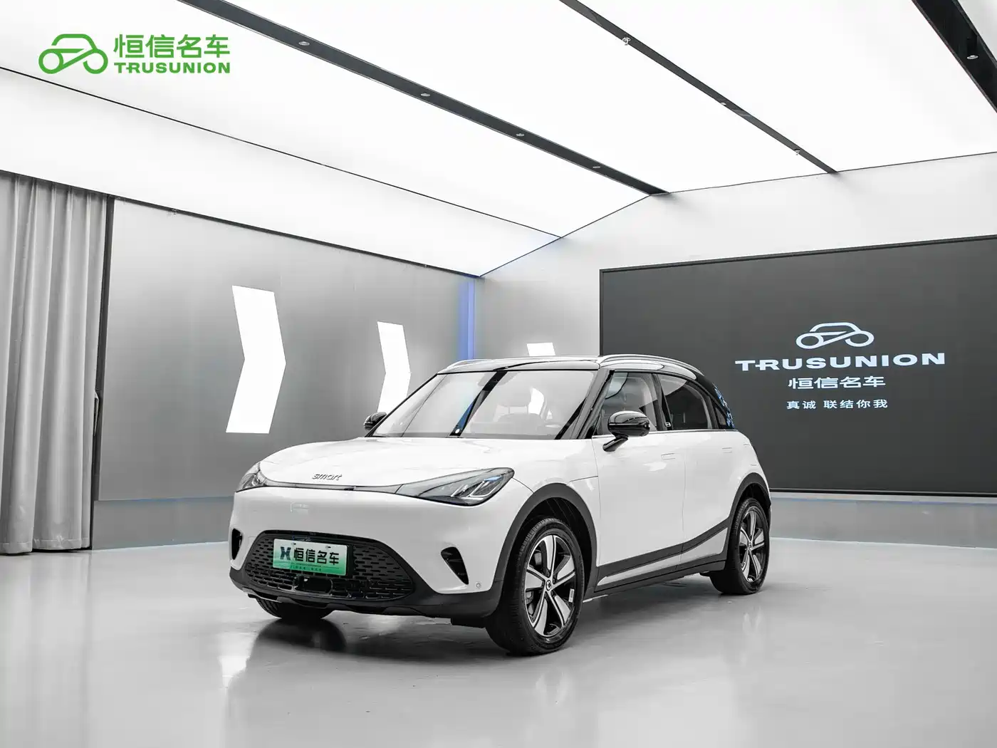 smart Elf #1 2025 2024 Agile Standard Edition