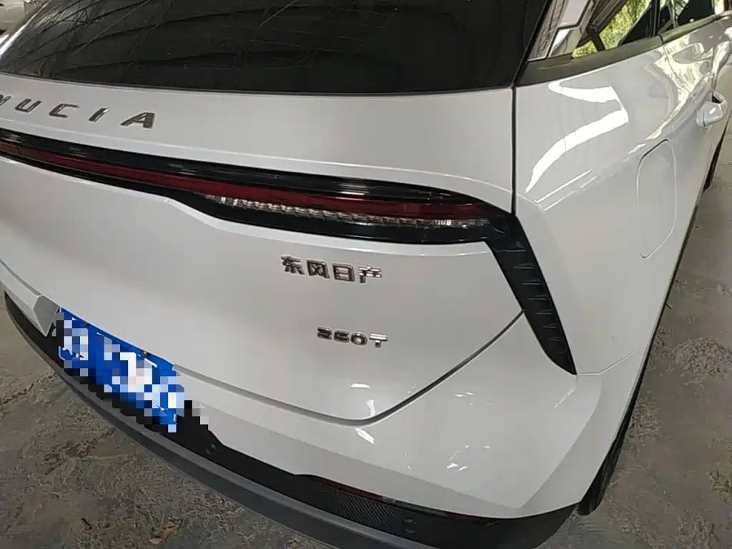 Venucia Big V 2022 2021 260T King Edition