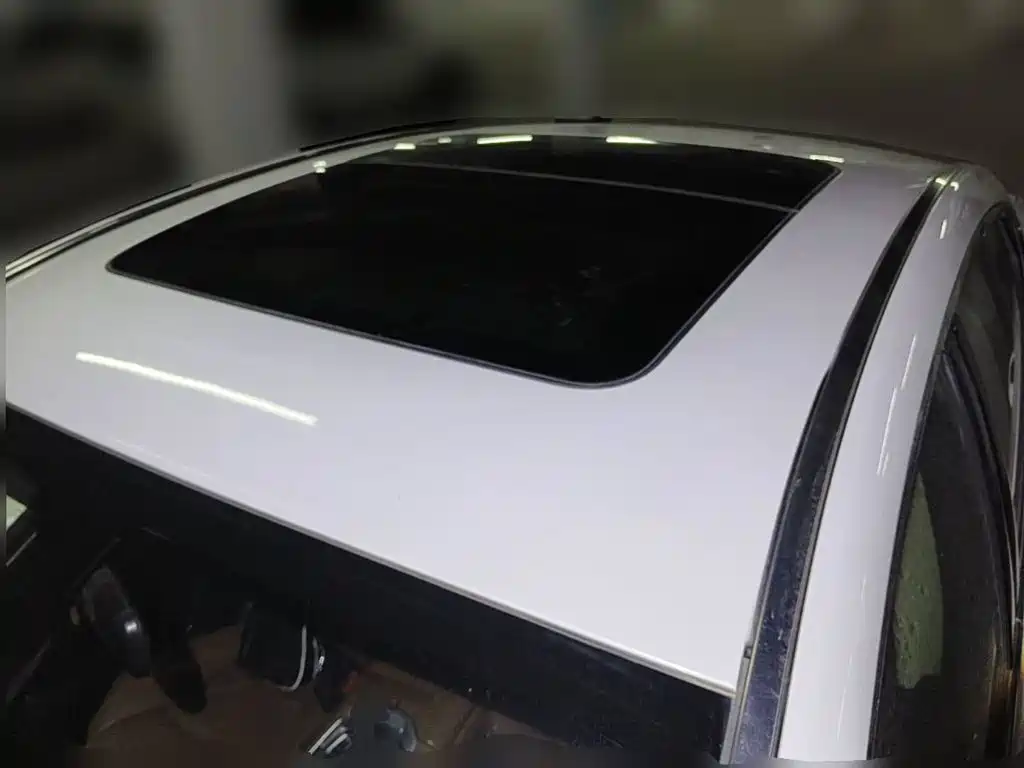 Фото 6 - Geely Borui