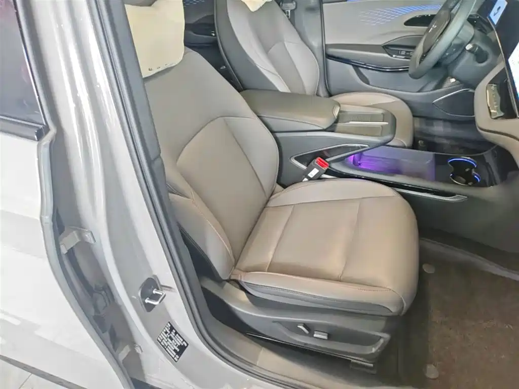 Фото 25 - Hongqi EH7