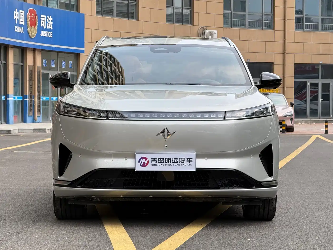 2025 Dongfeng Yipai eπ008