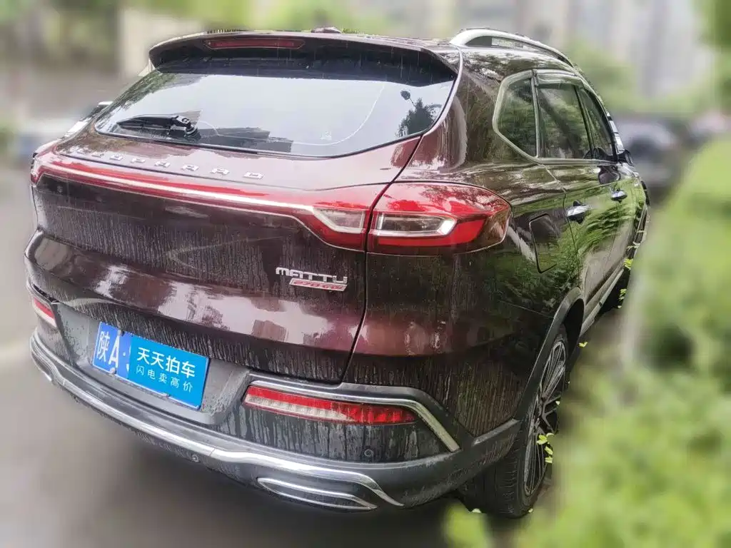 2018 Leopaard Mattu
