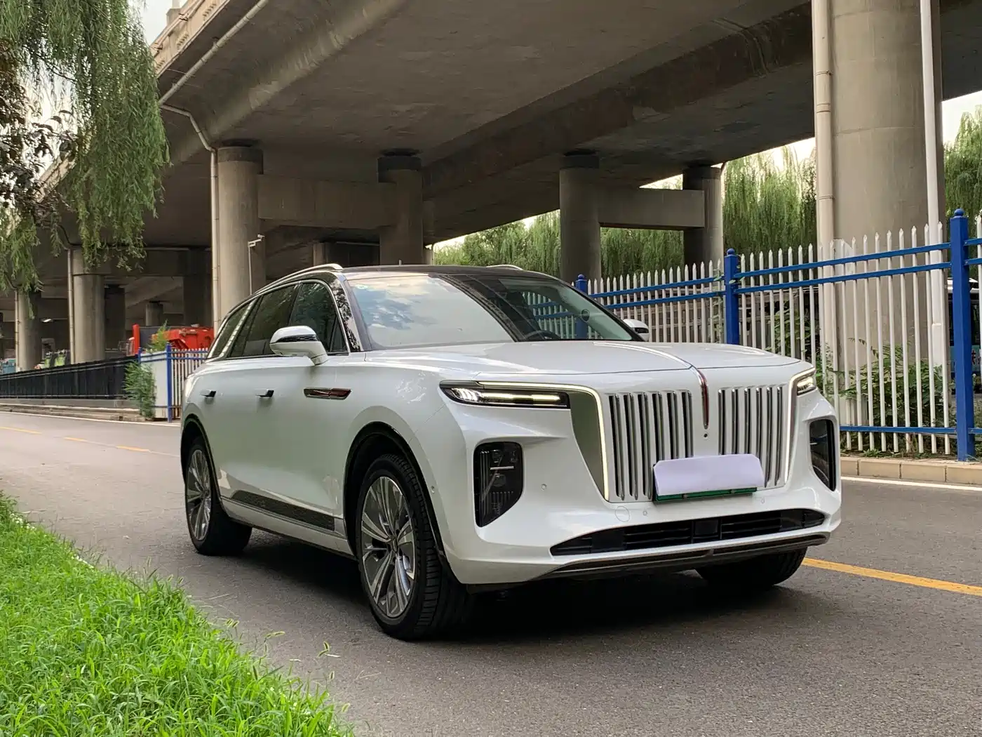 Hongqi E-HS9 2023 2022 690km Qi Xiang Edition (6-seater)