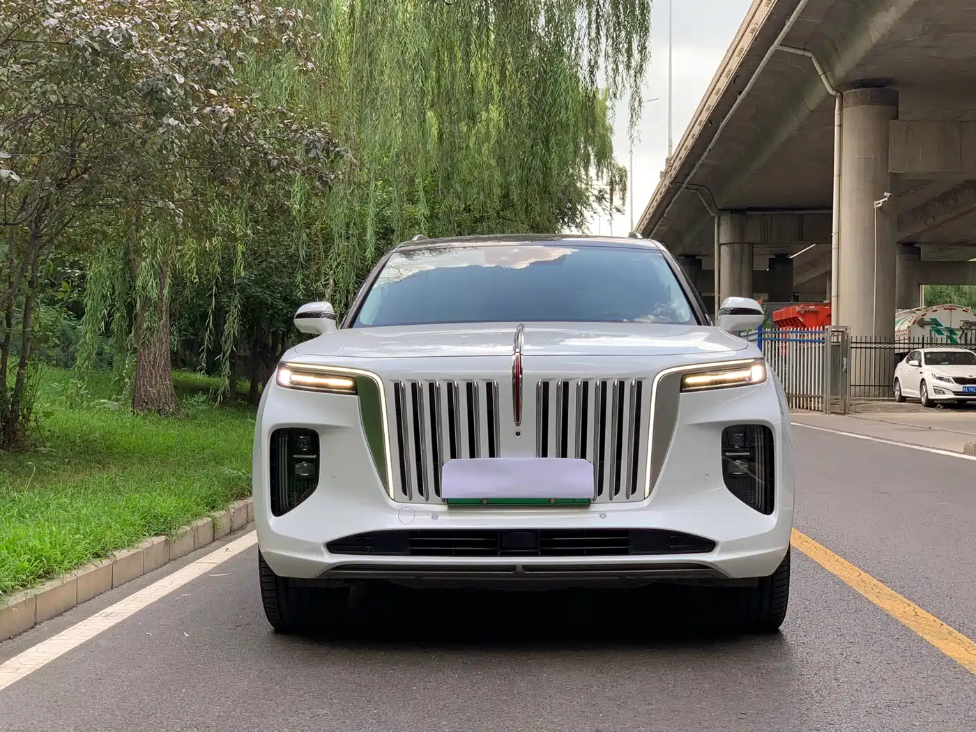 Hongqi E-HS9 2023 2022 690km Qi Xiang Edition (6-seater)