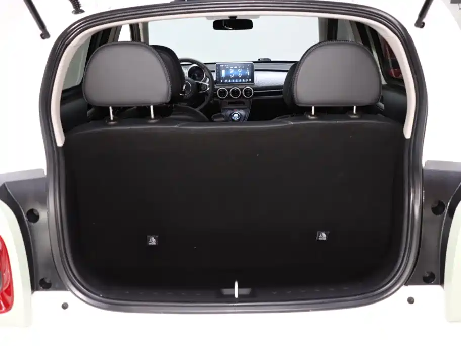 Ora Black Cat 2022 2022 301km Cute Pet Edition (LFP)
