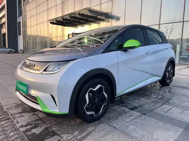 BYD Dolphin 2021 405km Freedom Edition