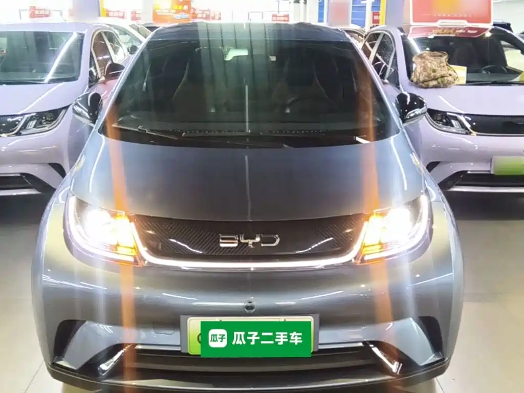 2026 BYD Dolphin