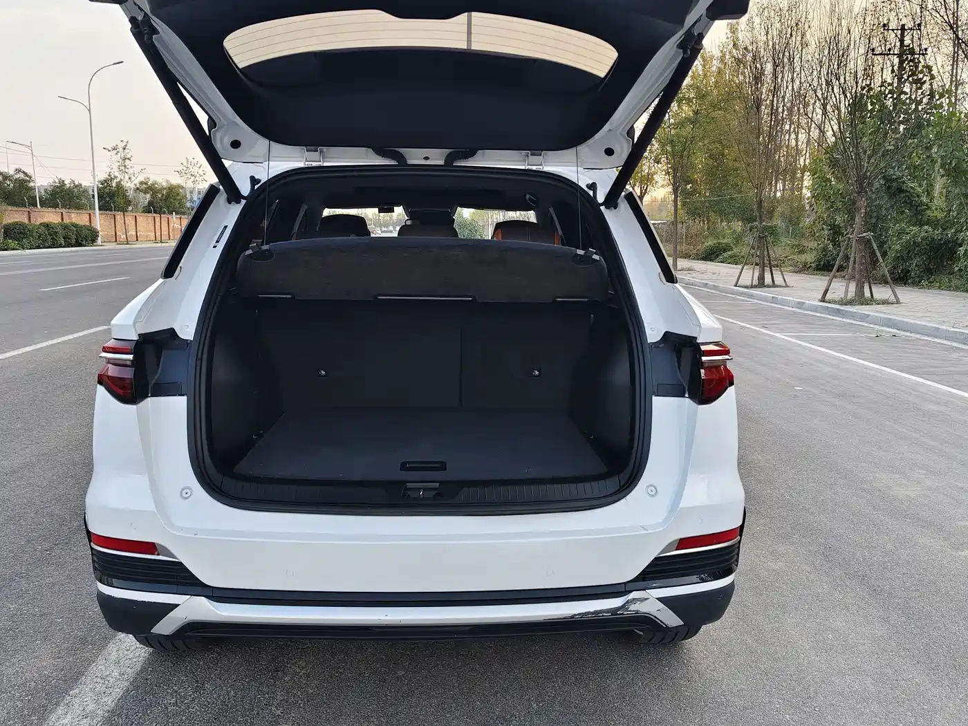 BYD Song Pro New Energy 2022 DM-i 110km Flagship фото 13