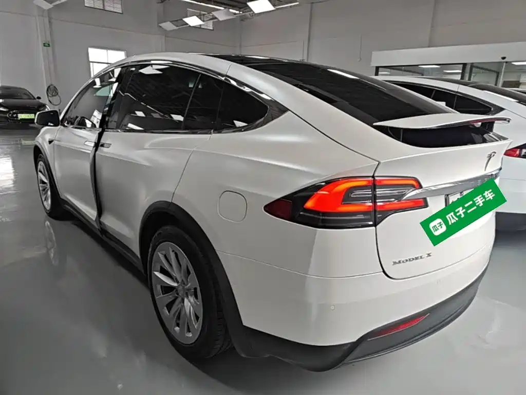 Фото 5 - Tesla Model X