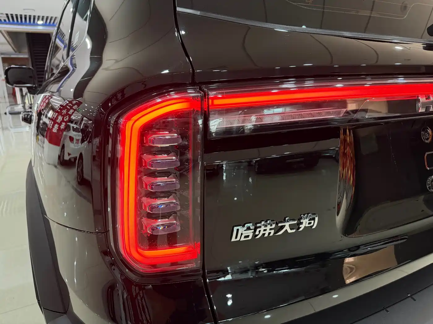 Haval Big Dog 2025 2024 1.5T DCT Border Collie Edition