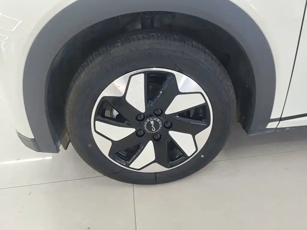 BYD Dolphin 2026 2025 420km Freedom Edition