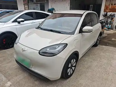 Wuling Bingo