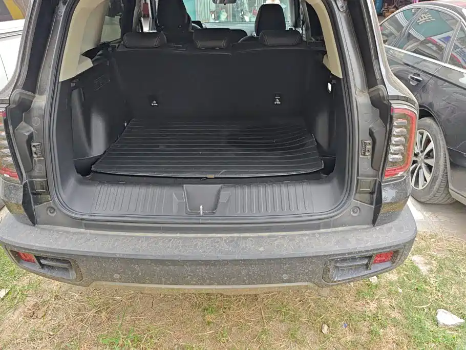 Фото 4 - Haval Dargo