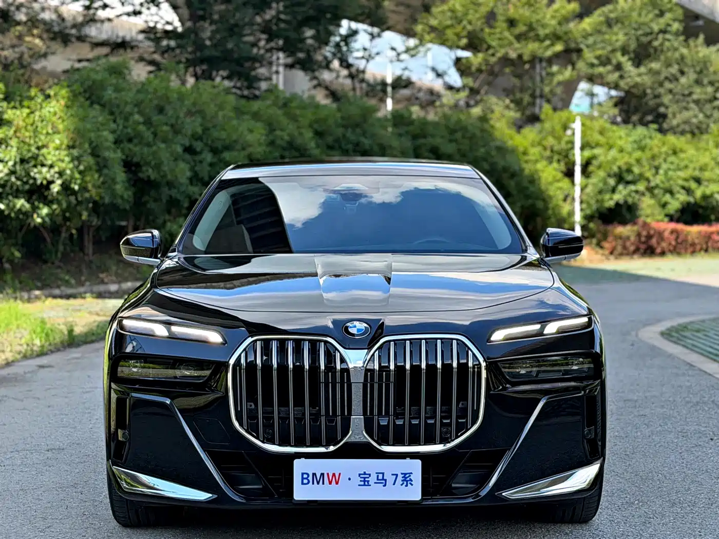 BMW 7 Series 2025 2023 Model 735Li Luxury Package
