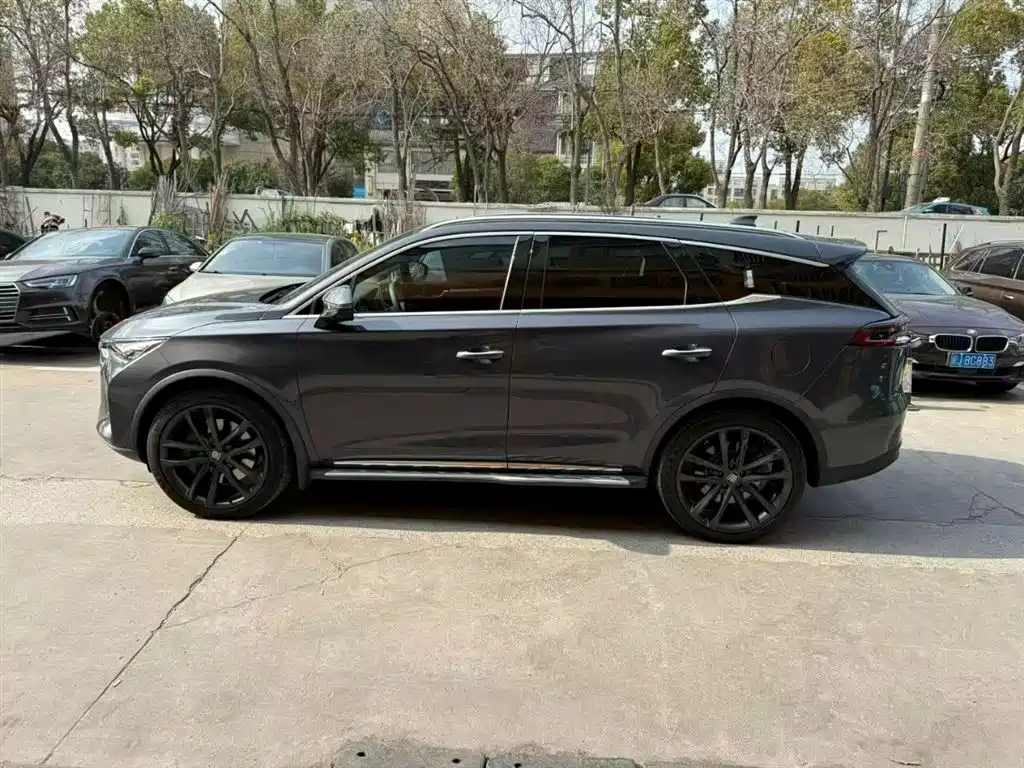 BYD Tang New Energy 2018 DM 2.0T AWD Smart Connection Enjoy Edition 7-Seater China V фото 7