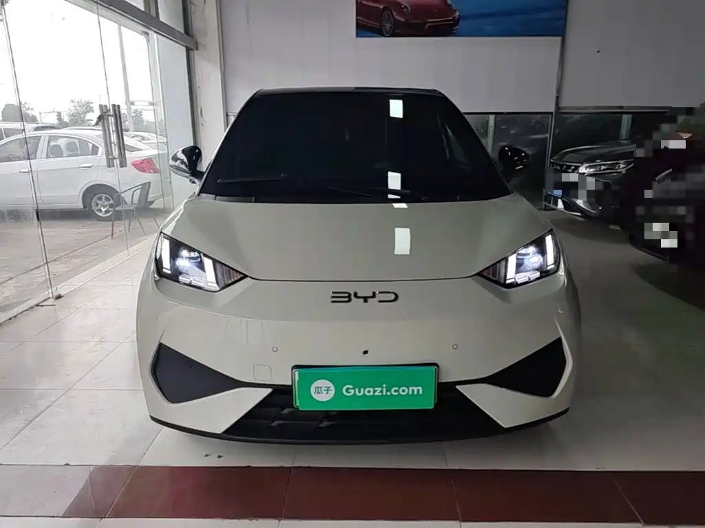 BYD Seagull 2026 2025 Smart Drive Edition 305km Freedom Version