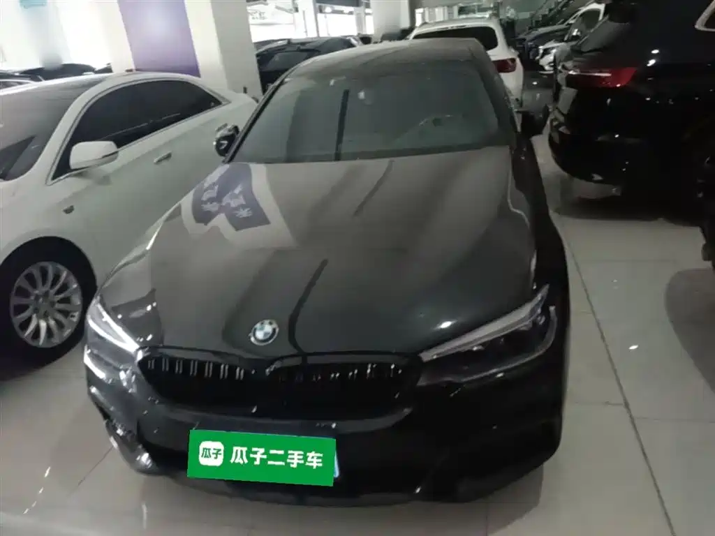 BMW 5 Series 2020 530Li Leading M Sport Package фото 3