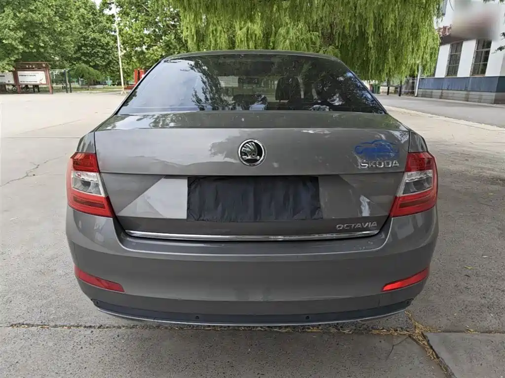 Škoda Octavia 2017 1.6L Automatic Smart Edition фото 6