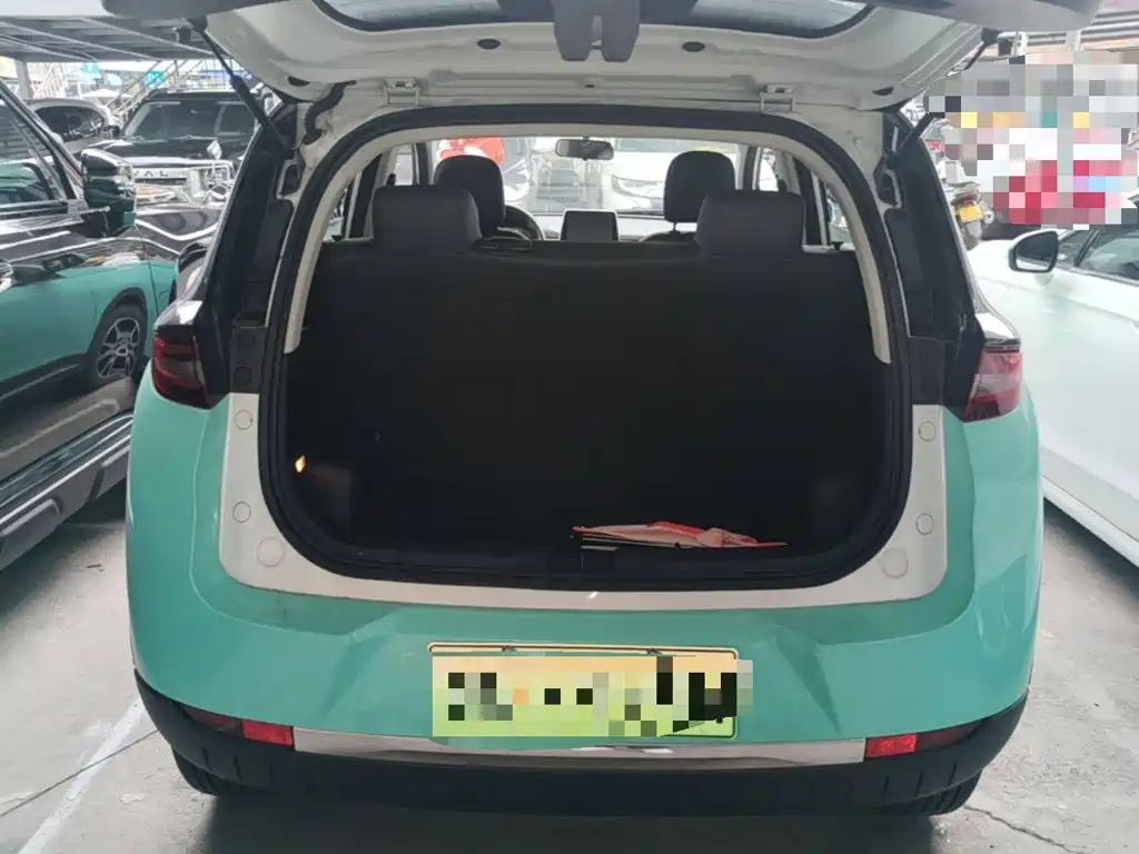 Dayun Yuehu 2022 2022 30.66kWh 2WD VIP Edition