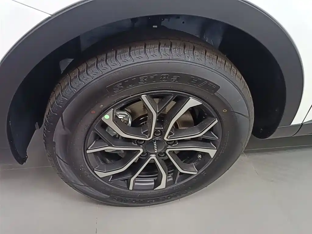 Haval H6 2025 1.5T National Trend Urban Edition фото 23