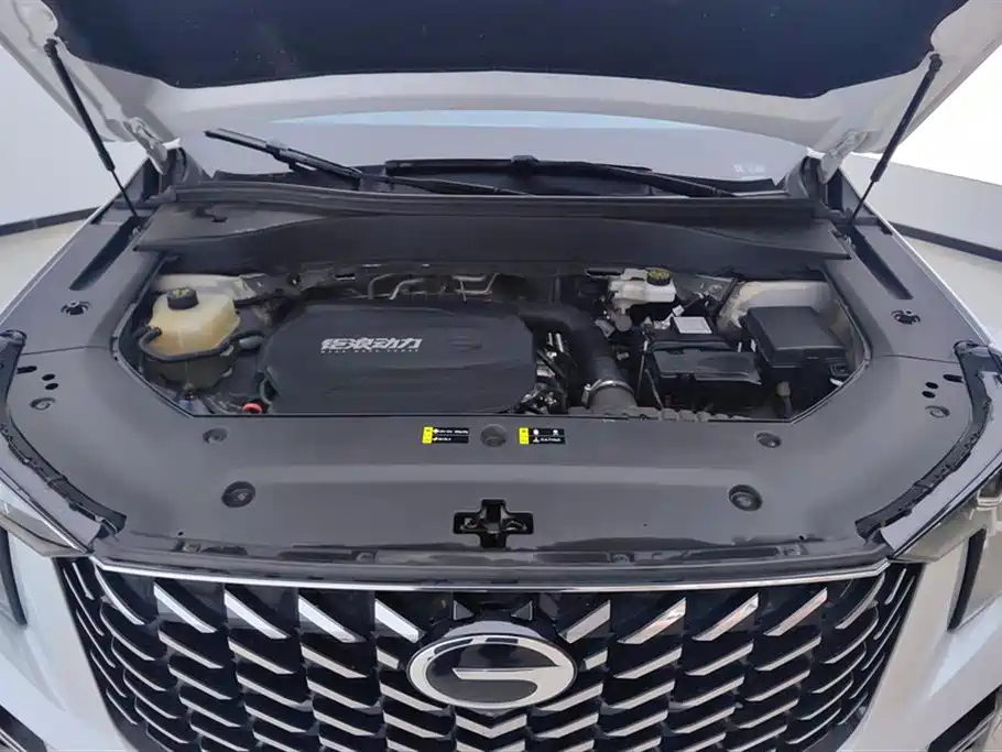 GAC Trumpchi Trumpchi GS8 2024 Navigator Series 2.0TGDI 2WD Luxury Smart Connect Edition фото 10