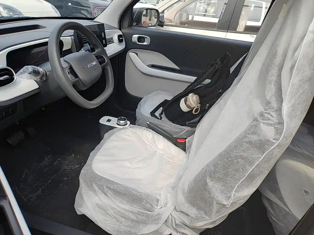 Geely Galaxy Panda 2026 2025 Panda mini 210km Vitality Bear