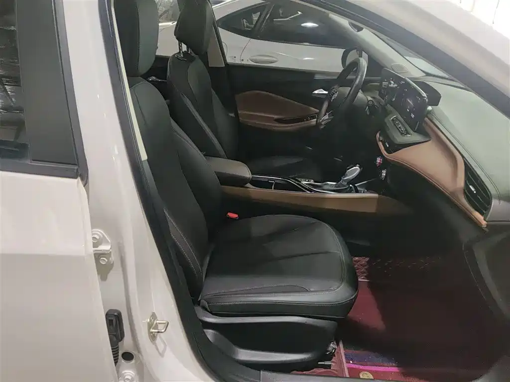 BUICK WEILANG