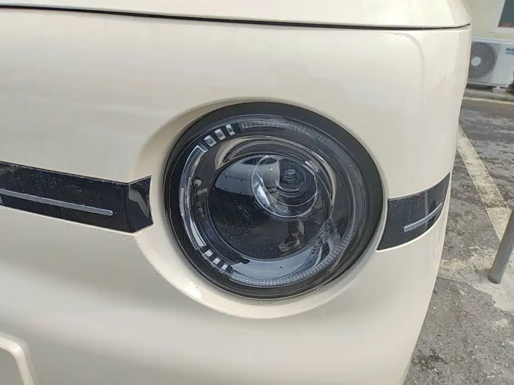 Geely Galaxy Panda 2026 2025 Panda mini 210km Vitality Bear