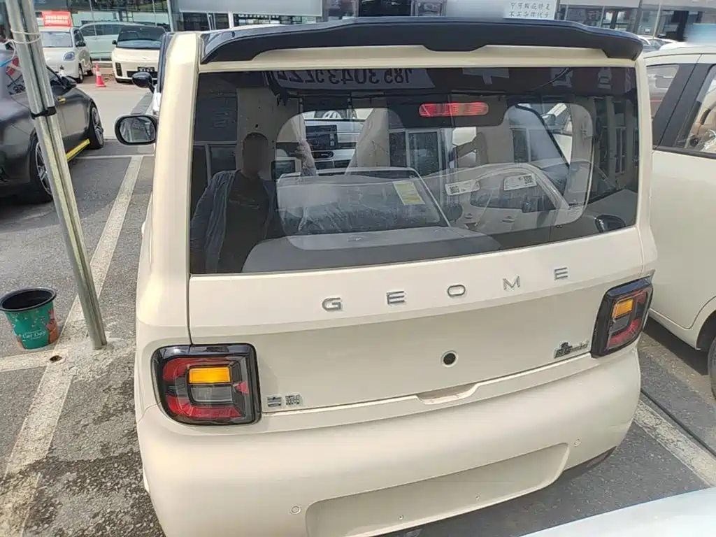 Geely Galaxy Panda 2026 2025 Panda mini 210km Vitality Bear
