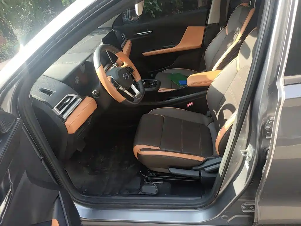 BYD e2 2022 2021 Luxury Edition