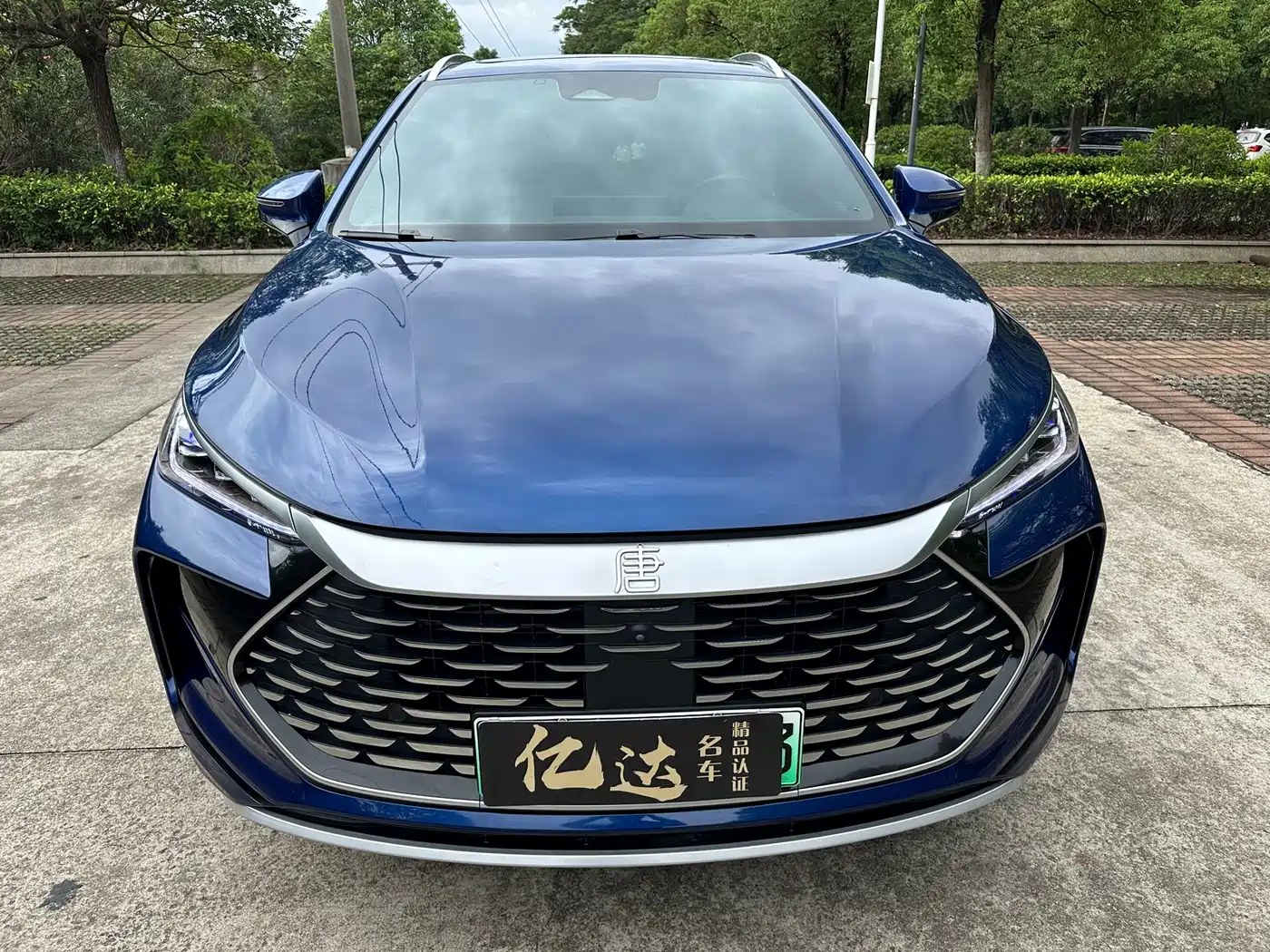 BYD Tang New Energy 2022 DM-p 215KM AWD Flagship фото 9