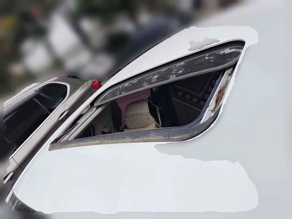 Photo 6 - Volkswagen Sagitar