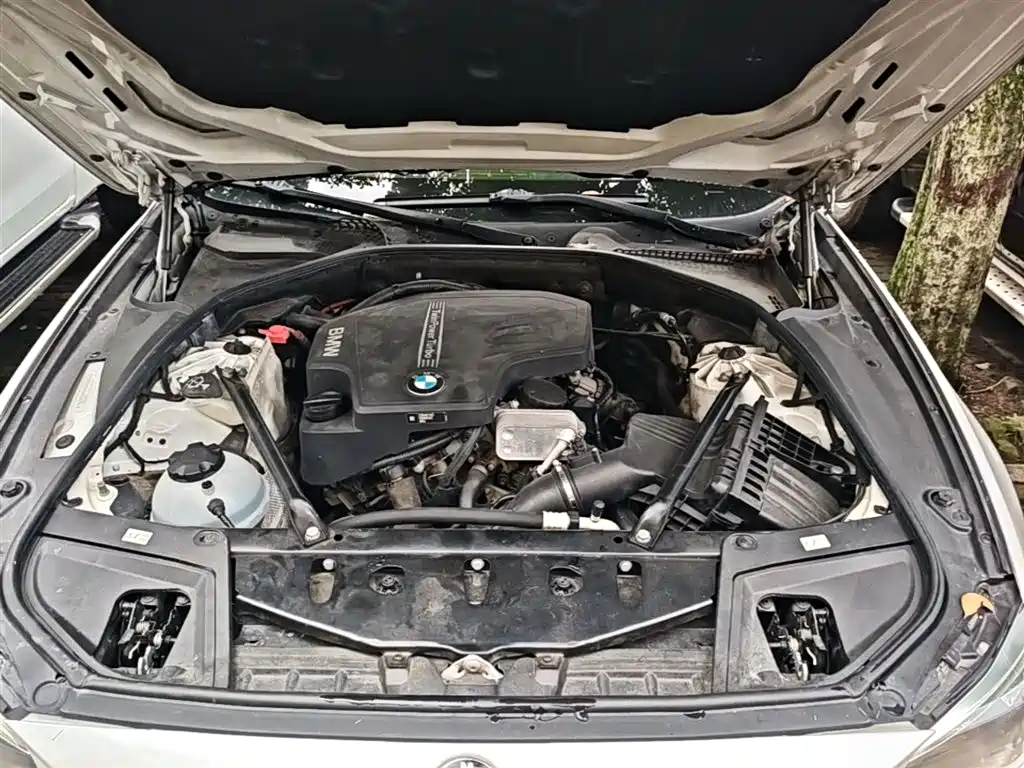 BMW 5 Series 2017 525Li Luxury Design Package фото 20