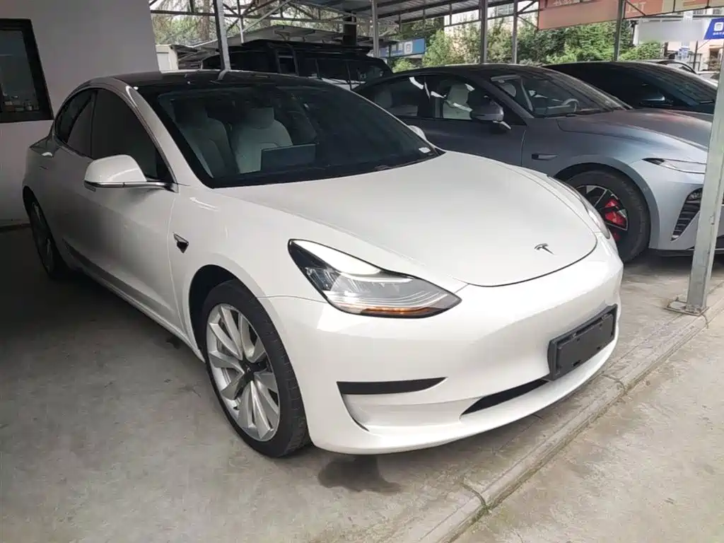 Tesla Model 3 2020 2020 Standard Range Rear-Wheel Drive Upgrade