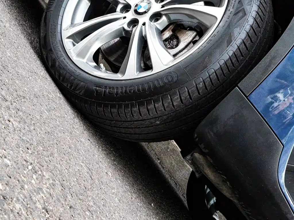 BMW X1 NEW ENERGY